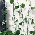 thumbnail image 2 of Plant Climbing Wall Fixtures Leaf Type Fixtures Vine Clamps Quick Pull Molding, 2 of 5