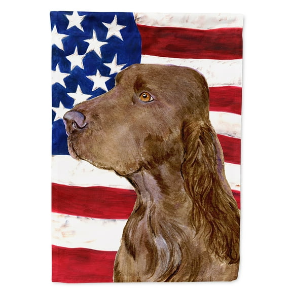 Carolines Treasures SS4010GF USA American Flag with Field Spaniel Flag, Small, Multicolor