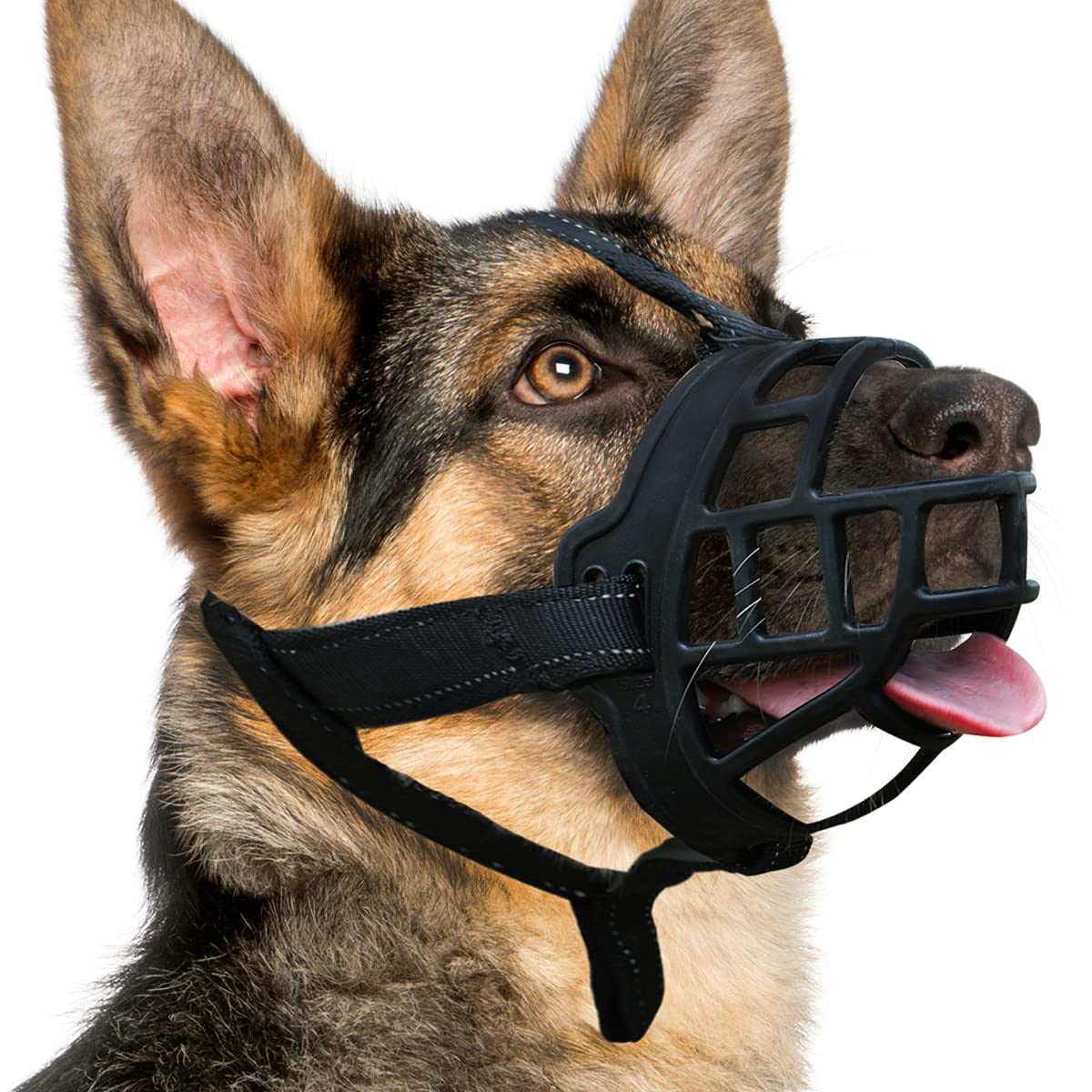 muzzle to prevent biting