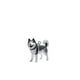 thumbnail image 1 of Coleccionar Llavero para Perros, 1 of 1