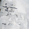 thumbnail image 5 of Gild Design House Toile Encadrée Peinte à la Main Silver Paradise, 5 of 5