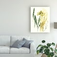 thumbnail image 3 of Trademark Fine Art 'Kelp Collection VI' Canvas Art by June Erica Vess, 3 of 4