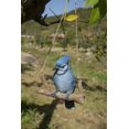 thumbnail image 5 of BLUE JAY Suspendu sur une Branche, 5 of 5
