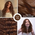 thumbnail image 3 of Paradyes No Bleach Espresso Brown Glossy Hair Tint, 3 of 9