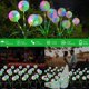 thumbnail image 5 of 2 Modes Decorative Outdoor Solar Garden Light, 2 Pieces of Dandelion Flower Solar Lamp, IP65 Waterproof Outdoor Solar Garden Light for Lawn, Balcony, 5 of 5