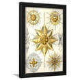 thumbnail image 1 of Acanthometra, Framed Art Print Wall Art by Ernst Haeckel Sold by Art.Com, 1 of 5