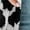 Cow Print, variant on Fire Print Women's Open Front Cardigan Lightweight Long Sleeve Tops for Women Size M Comfortable Sweater Jacket for Women Dressy for Daily Life