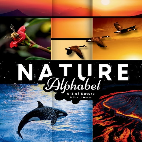 Nature Alphabet: A - Z Of Nature & How It Works, (Paperback)
