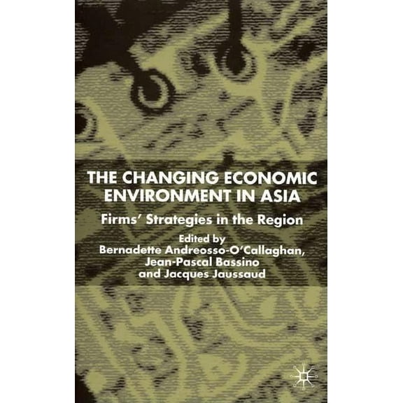 Changing Economic Environment in Asia: Firms' Strategies in the Region, (Hardcover)