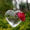 thumbnail image 3 of Decoración colgante de cristal para el hogar y el jardín, flor de cristal colgante con forma de corazón, contenedor para el jardín, botella de vidrio transparente para colgar, valor inmejorable, 3 of 8
