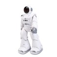 thumbnail image 1 of RC Robot Dansant Programmation Intelligente Présentation Automatique Capteur de Geste Contrôle à Distance pour Garçons Filles Anniversaire Noël Nouvel An Cadeaux Argent Blanc, 1 of 5