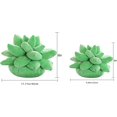 thumbnail image 3 of GreencSucculents Cactus Green Plant Throw s esquí esquí Gafas de esquí, 3 of 5