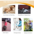 thumbnail image 7 of UOSIA Dog Halter Harnesses, Adjustable Lift Hanress Soft Padded Dog Support Harness, 7 of 7