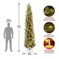 thumbnail image 5 of National Tree Company Pre-Lit 'Feel Real' Artificial Christmas Tree, Green, Carolina Pine, Clear Lights, Flocked with Pine Cones, Includes Stand, 10 Feet, 5 of 5