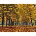 thumbnail image 3 of Ziman, Peter 18x15 Black Modern Framed Museum Art Print Titled - Autumn in the Park, 3 of 5