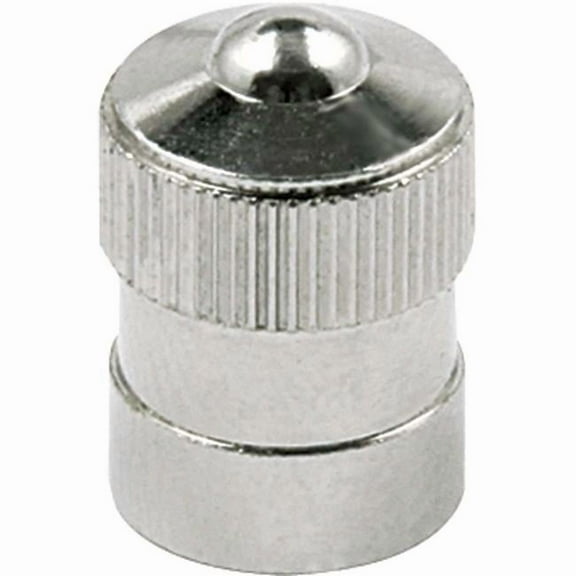 Replacement Valve Stem Cap - Pack of 10