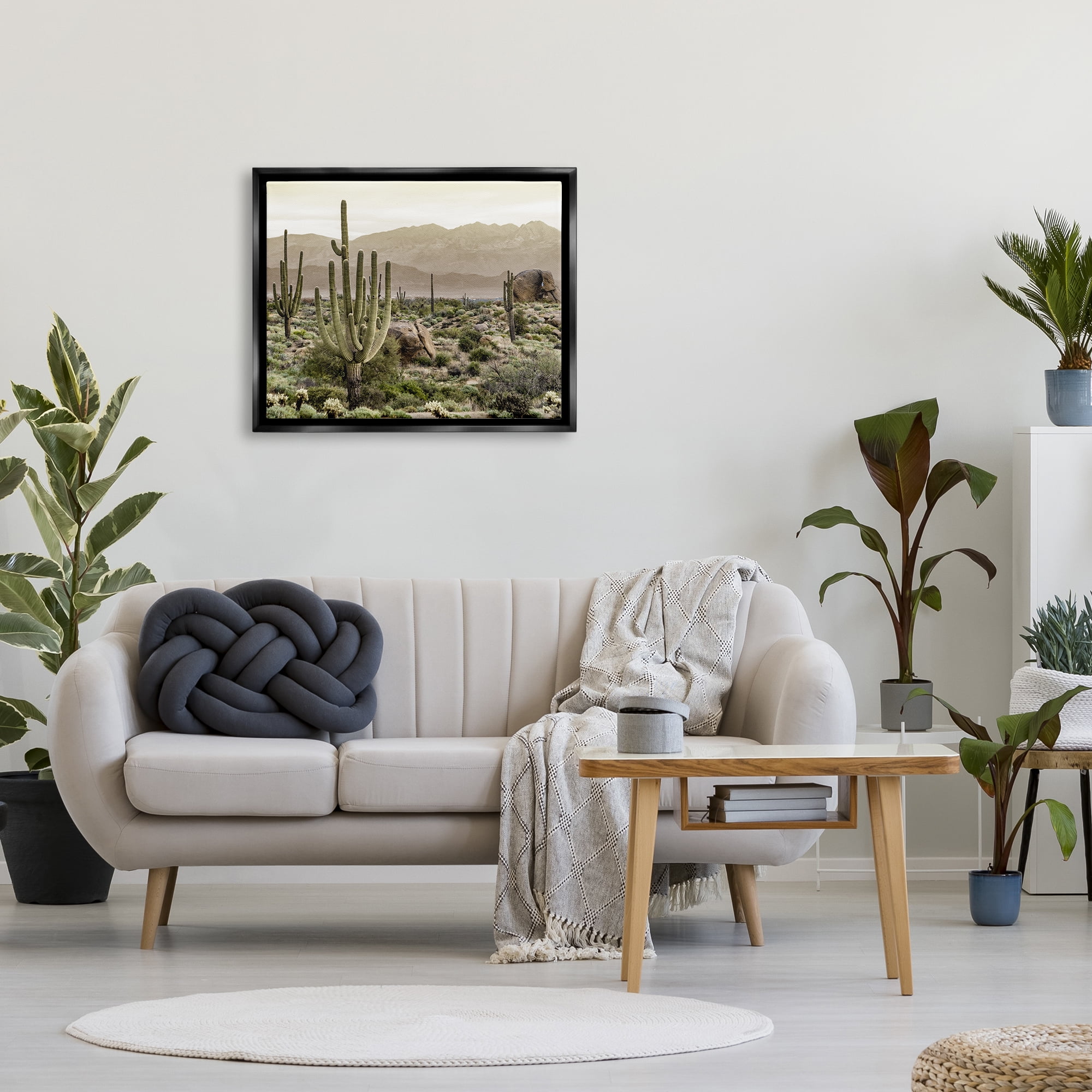 Stupell Industries Rocky Desert Landscape Landscape Photography Black Floater Framed Canvas Art Print Wall Art, 31 x 25