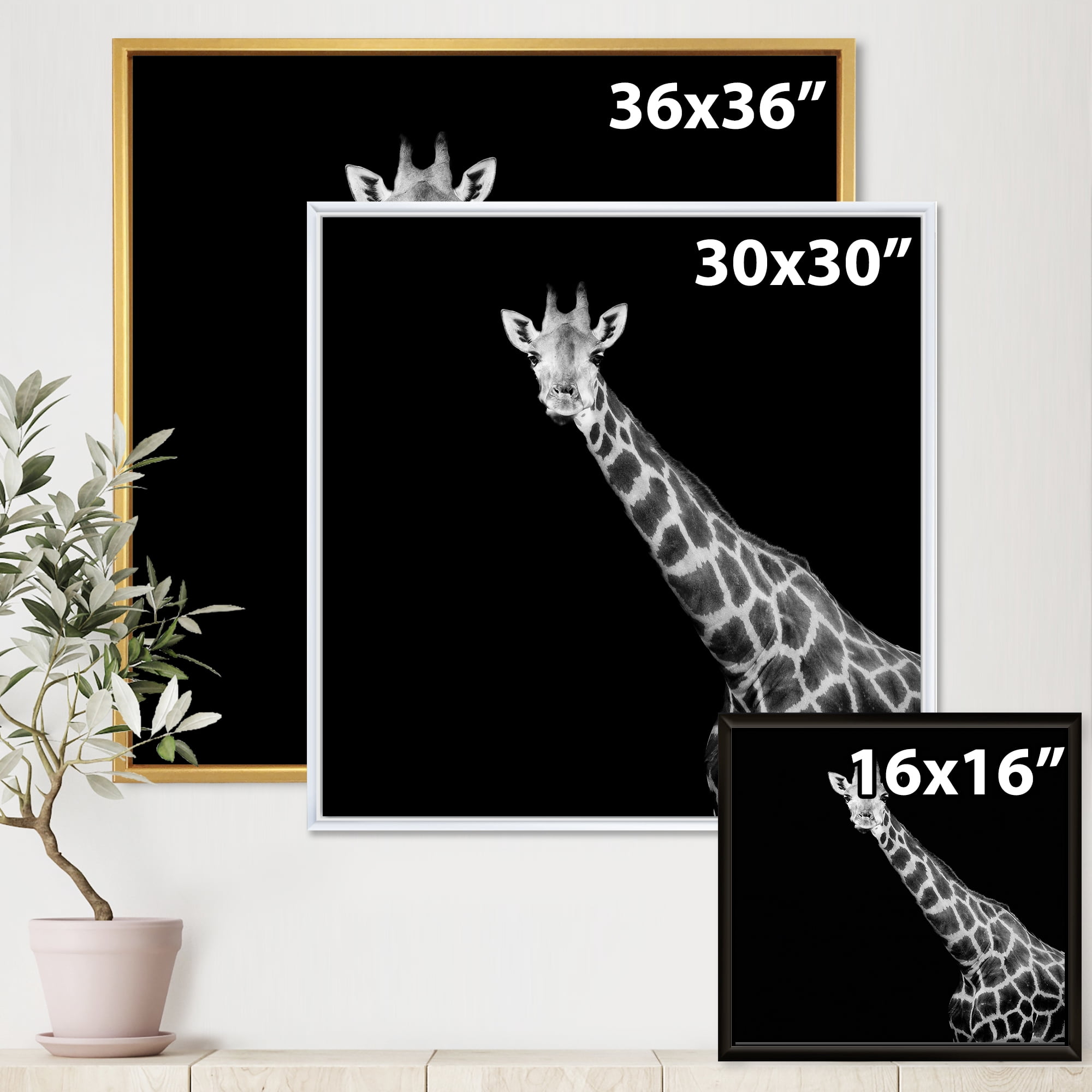Designart 'Close Up Portrait Of A Giraffe On Black I' Farmhouse Framed Canvas Wall Art Print