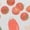 White, variant on Tomato Medley Graphic Tees Womans T-shirt Black/White S-5XL Shirts Garden Vegetable Tops
