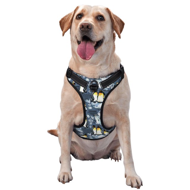 Fotbe Penguin Arctic Adventure Arnés para Perro con Estampado –Chaleco Ajustable Acolchado con Asa de Control para Perros Grandes-X-Large