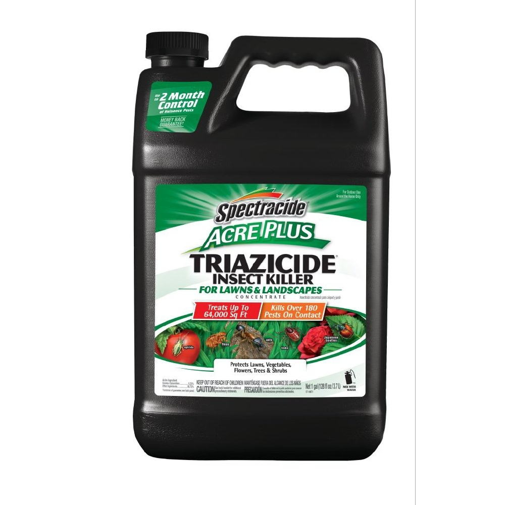 bug spray concentrate