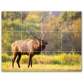 thumbnail image 1 of Picture-Tiles.com: Deer Ceramic Tile Wall Mural WAL500440-43M. 24"W x 18"H using (12) 6" x 6" Ceramic Tiles-Satin Finish, 1 of 3