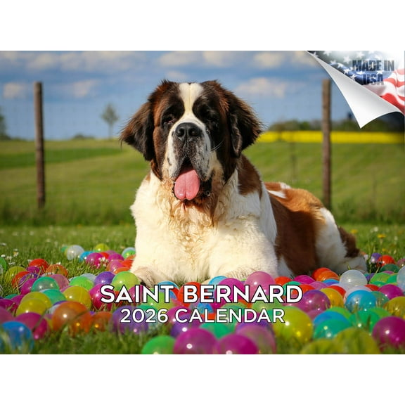 2025 2026 Saint Bernard Calendar - Dog Breed Monthly Wall Calendar - 12 x 18 Open - Thick No-Bleed Paper - Giftable - Made in USA