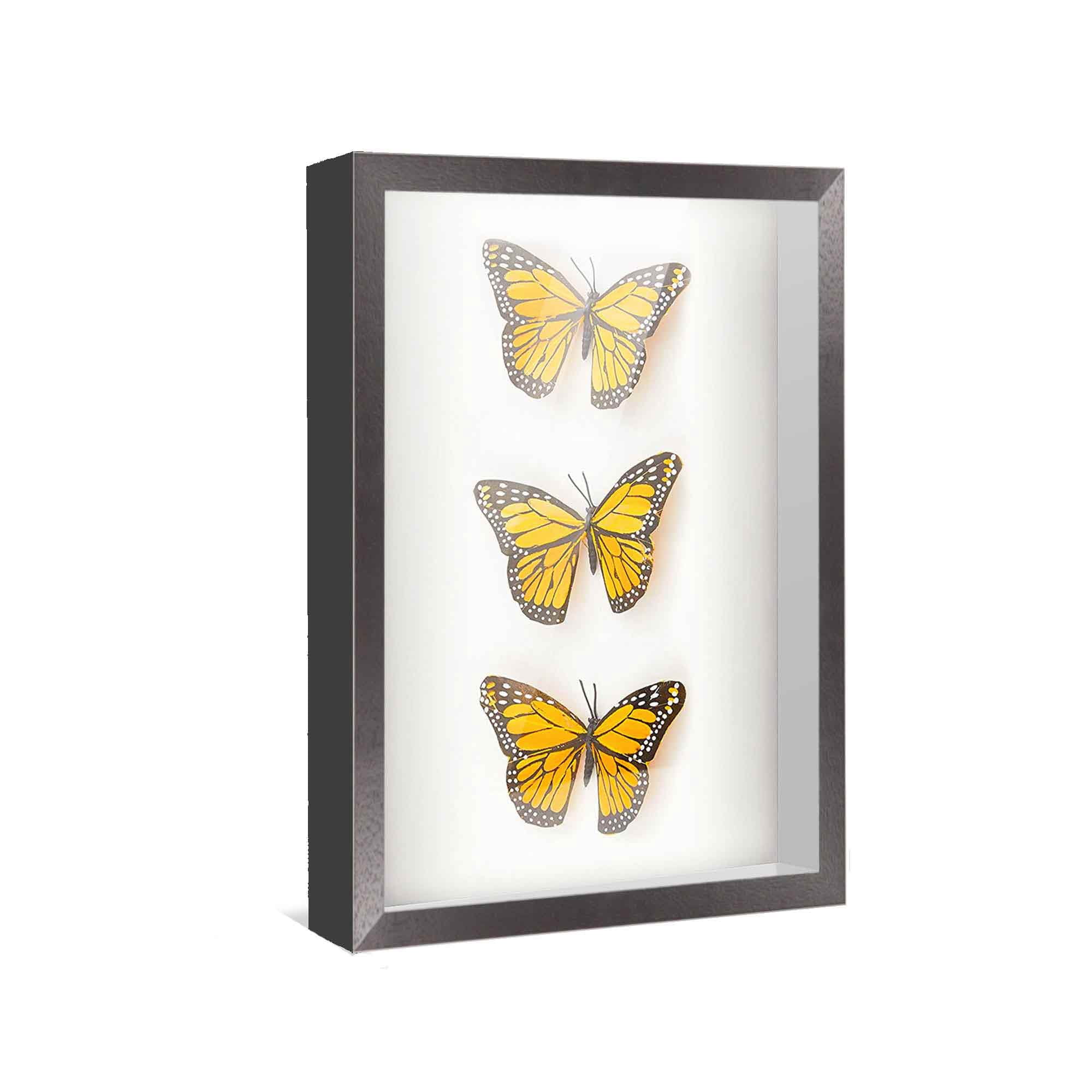 45x15 Shadow Box Frame Black | 1 Inches Deep Real Wood Farmhouse Shadowbox Display Frame | UV