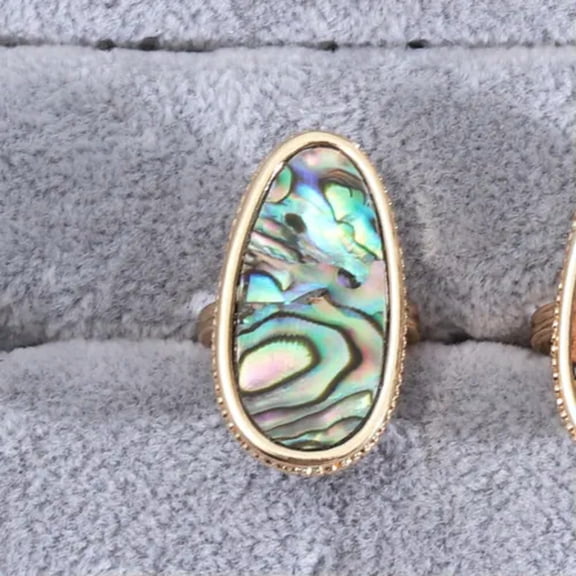 Acetate Abalone Shell Oval StoneTurquoise Leopard Band Ring Women Chic Jewelry