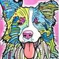 thumbnail image 2 of Dean Russo Collection 15x15 White Modern Wood Framed Museum Art Print Titled - Colly, 2 of 4