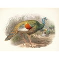 thumbnail image 2 of Joseph Smit 24x19 Black Ornate Framed Double Matted Museum Art Print Titled: Melaeacris Ocellata (1872), 2 of 5