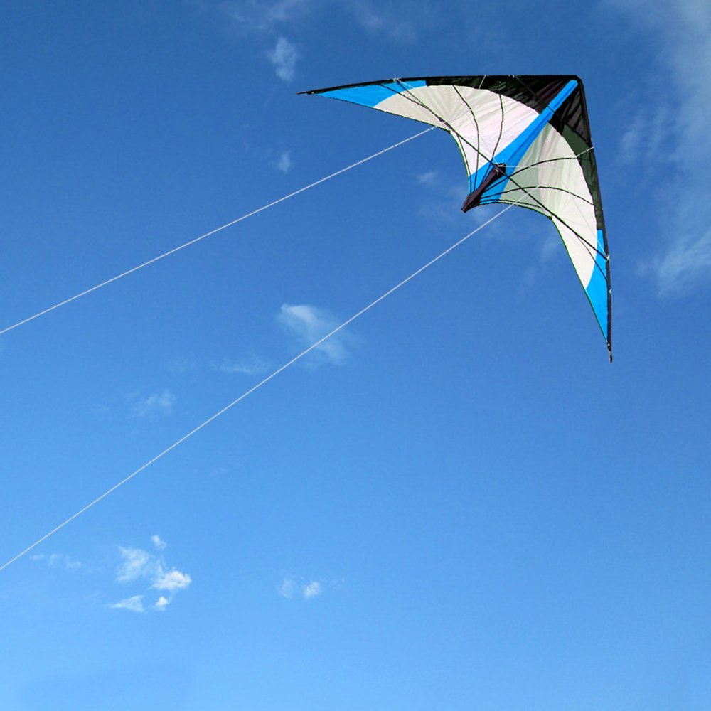 HENGDA KITE 48" Polyester Stunt Kite Outdoor Toys Dual Line Sport Kite
