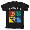 thumbnail image 3 of Harry Potter Hogwarts Simple House Artwork Toddler Boy's Black T-shirt-3T, 3 of 6