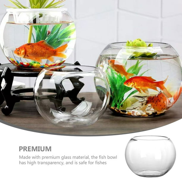Clear Bowl Glass Vase Glass Bubble Bowl Glass Round Vase Planter Terrarium  Fish Bowl 