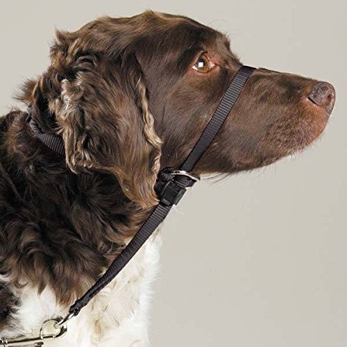 Gentle Leader Dog Head Collars 