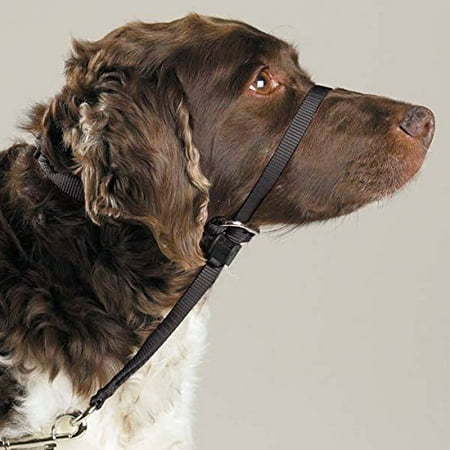Gentle Leader Dog Head Collars - Training Stop Pulling Lunging Unwanted behavior(Large - 60 to 130 (Best Dog Gentle Leader)