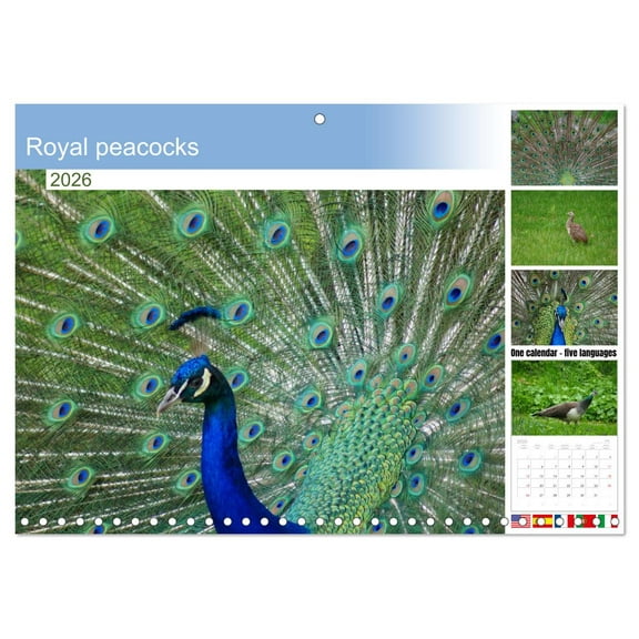 Royal peacocks (Monthly Wall Calendar 2026 11.7 x 16.5 (open)), CALVENDO 14 Month Calendar