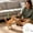 Multicolor127, variant on Telescopic Cat Wand Toy With Feather Ball, Interactive Teaser Stick For Indoor Cats Exercise Hunting Training And Bonding Play Sessions