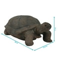 thumbnail image 6 of Sunnydaze Todd the Tortoise Indoor/Outdoor Garden Statue - 30", 6 of 9