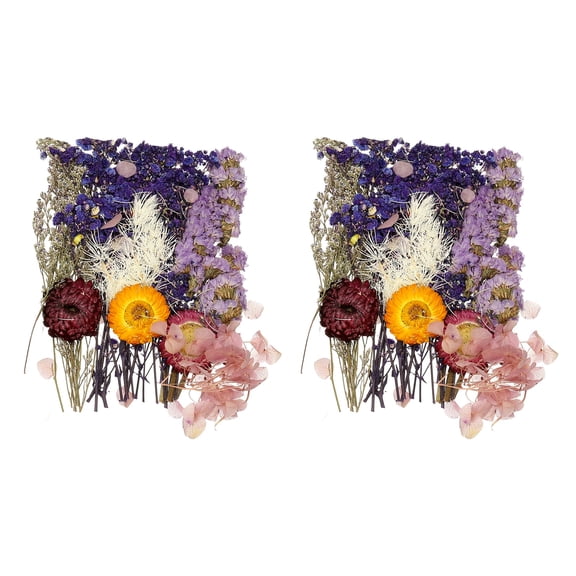 2 Sets Natural Dried Flower Set, Dried Pressed Flowers (Purple)