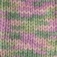 thumbnail image 5 of Caron Acrylic Simply Soft Paints Yarn (141 g/5 oz), Rose Garden, 5 of 5