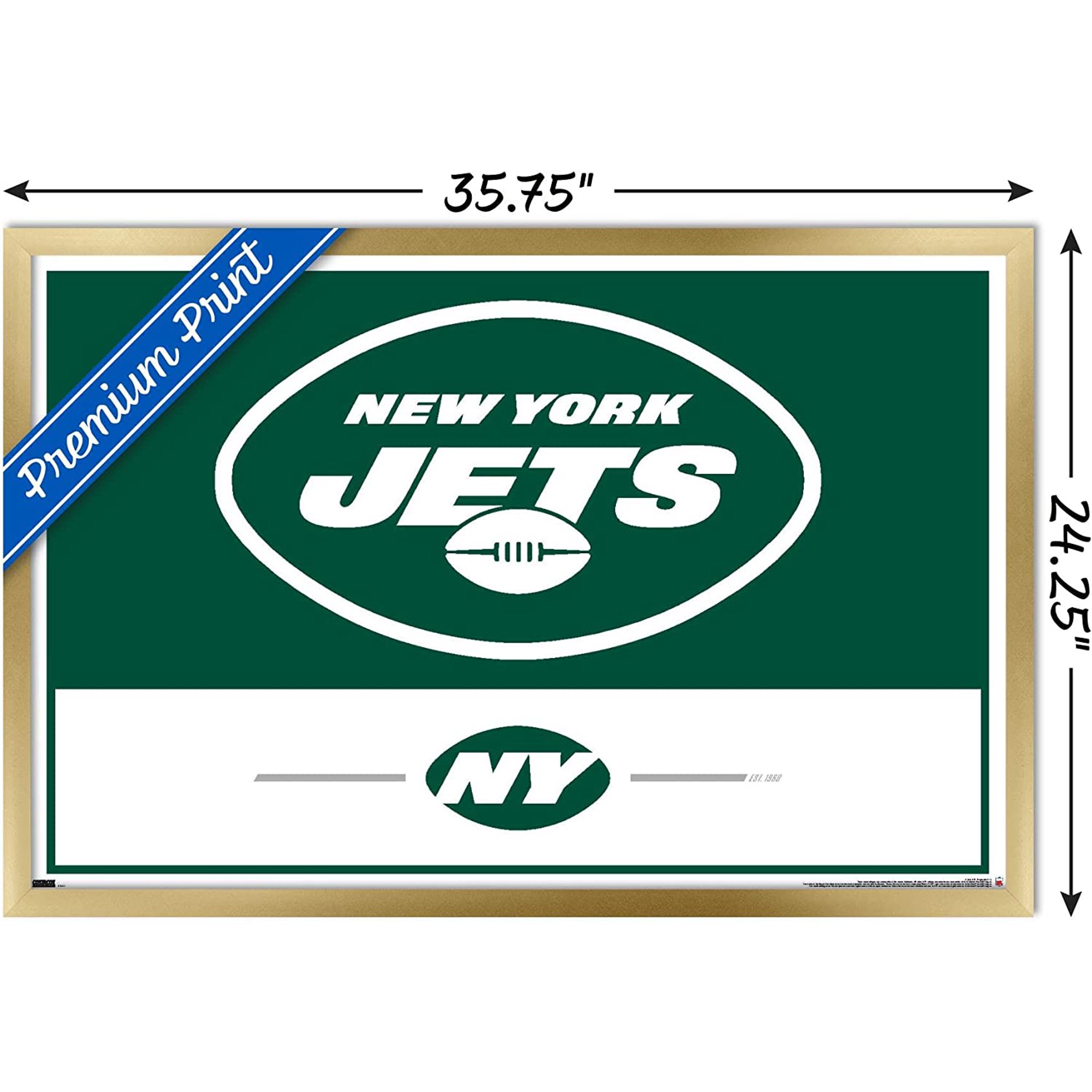 NFL New York Jets - Logo 21 Poster