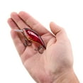 thumbnail image 5 of Berkley Shallow Money Badger Fishing Crankbait, 2.6 in, Hybrid Baitfish-Crayfish, 5 of 6
