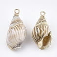 thumbnail image 2 of Electroplate Spiral Shell Pendants with Iron Findings Light Gold Peru 16~30x8~14x7~12mm Hole: 2mm DIY, 2 of 2
