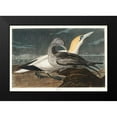thumbnail image 2 of Audubon, John James 24x18 Black Modern Framed Museum Art Print Titled - Gannet, 2 of 5