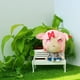 thumbnail image 5 of Peluche Ddlc de 21,5 cm/8,5 pulgadas, juguete de peluche de juego de anime para fanáticos de Ddlc (yuri), 5 of 5