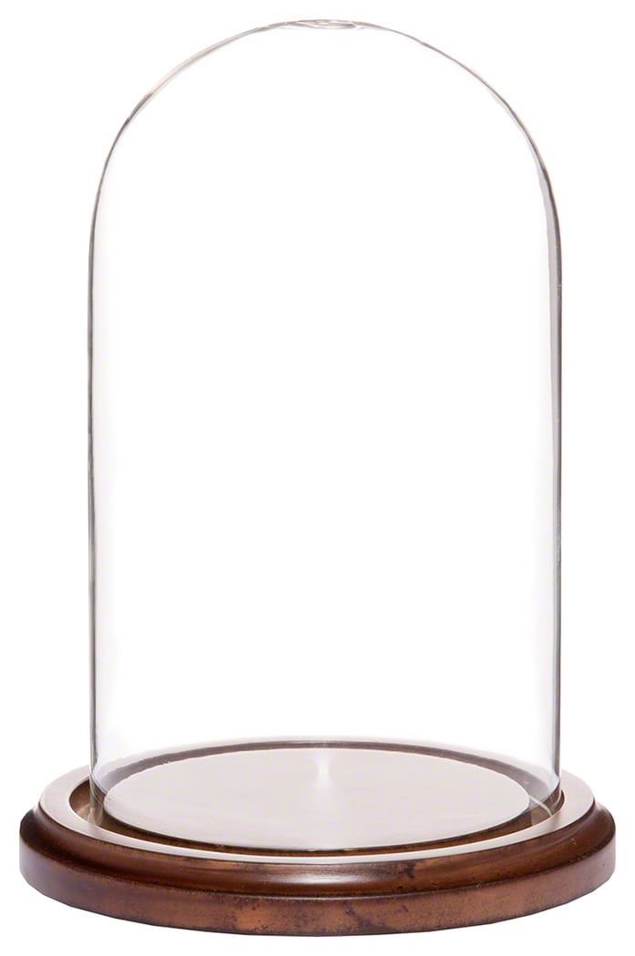 4" x 7" Free Shipp Plymor Brand Glass Doll Display Dome with Walnut Base New 