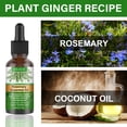 2 Pack Rosemary Oil for Hair Growth & Skin Rosemary