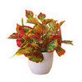 thumbnail image 3 of fastboy Artificial Potted Plant Leaf Simulation Leaves Home Office Desktop Greenery Decoration, Plant Type 19, 3 of 7
