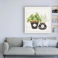 thumbnail image 3 of Trademark Fine Art 'Fine Herbs V Smiles' Canvas Art by Janelle Penner, 3 of 3